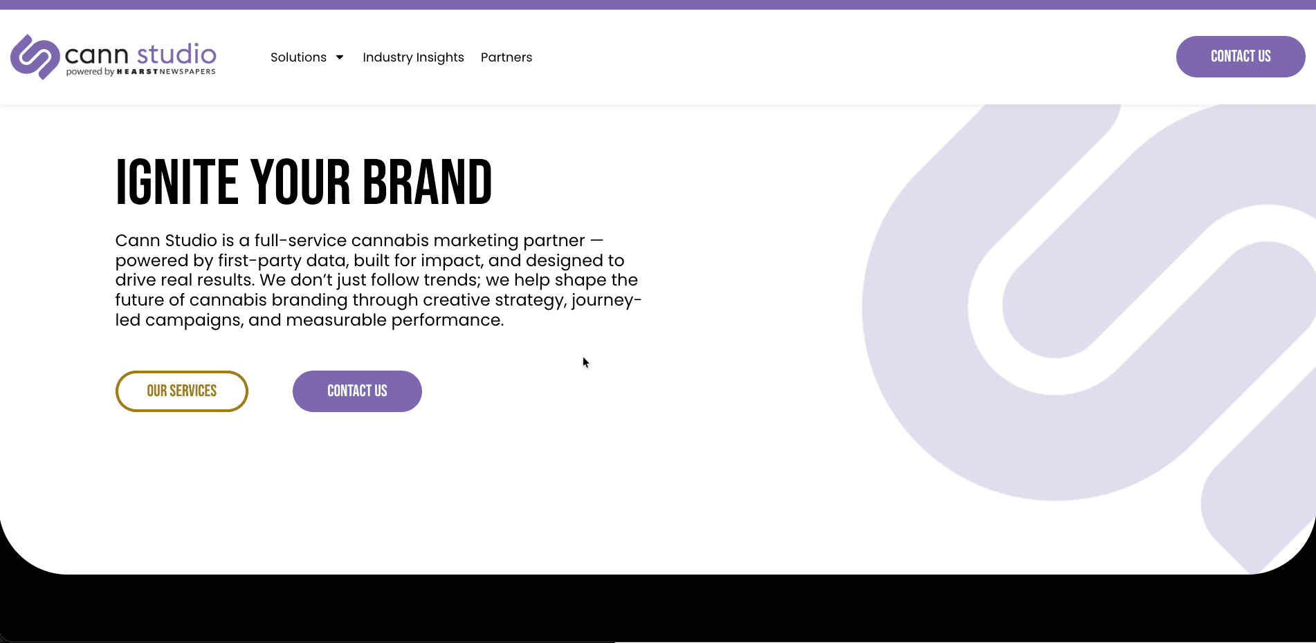 Cann Studio screenshot