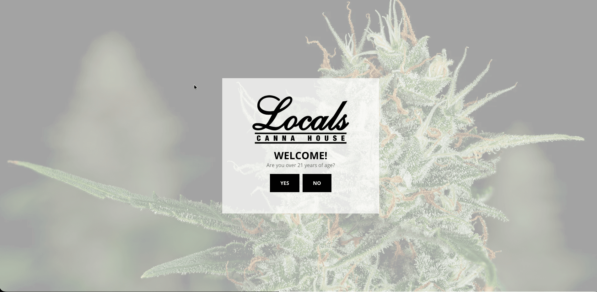 Local's CannaHouse screenshot