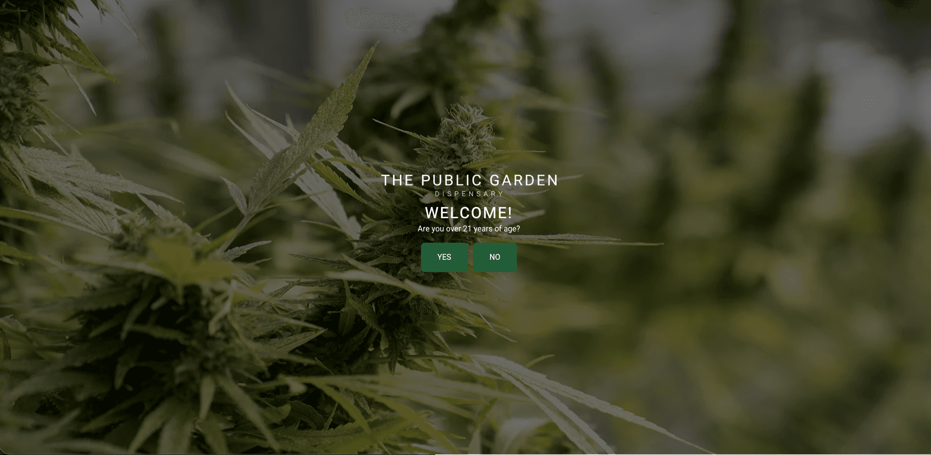 The Public Garden screenshot